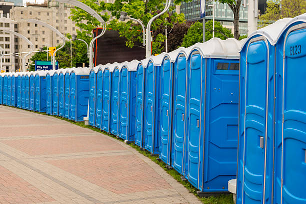 Best Standard Portable Toilet Rental  in Three Rivers, MI